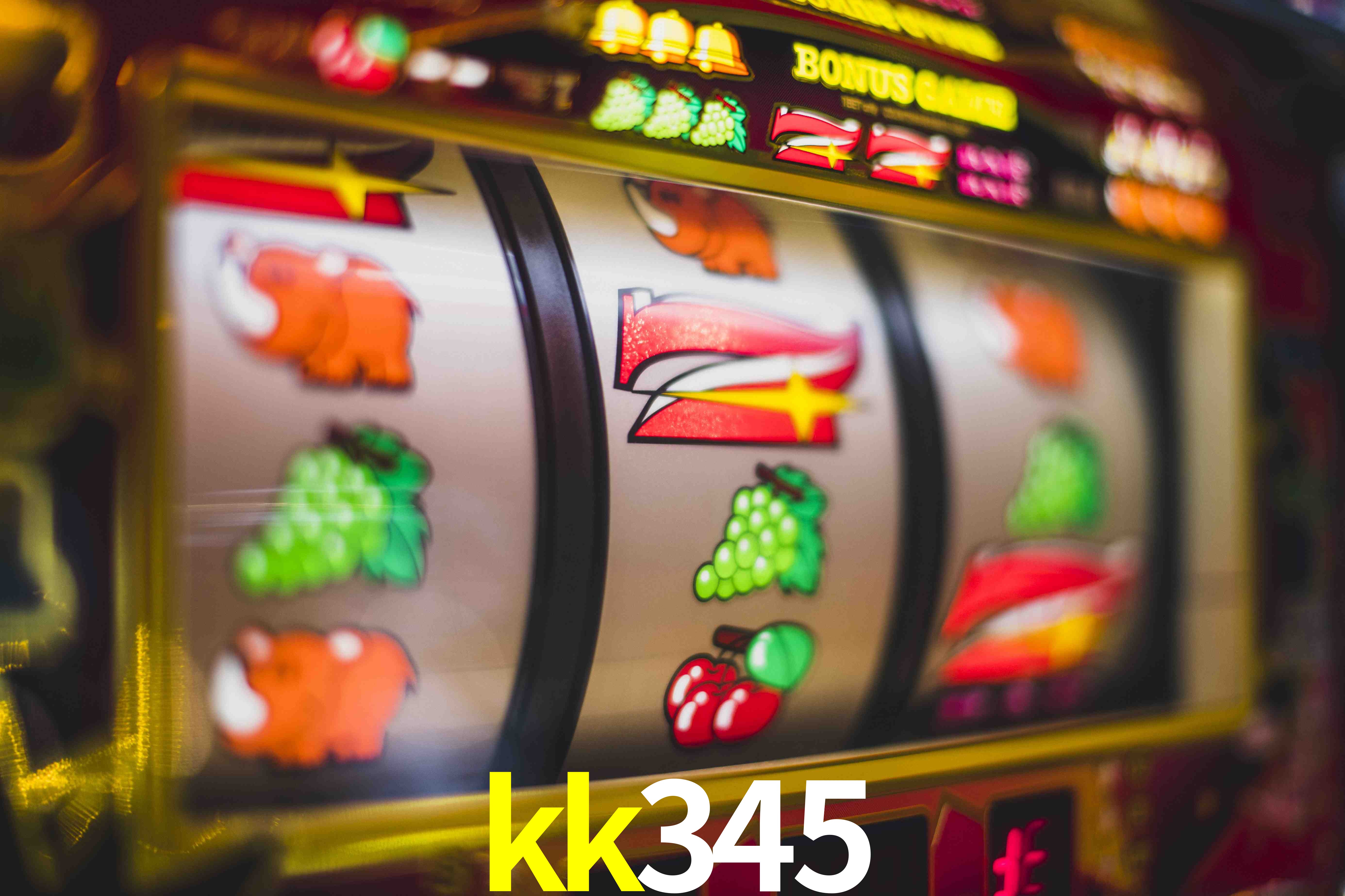 Programa VIP kk345